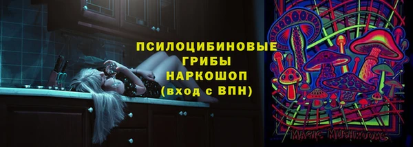 амф Пестово