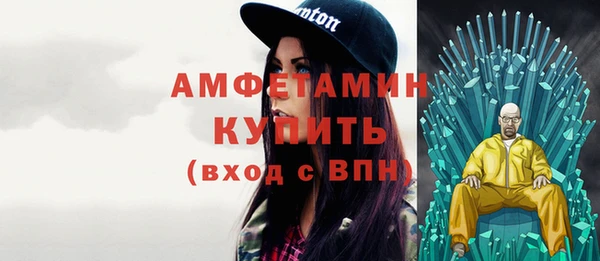 амф Пестово