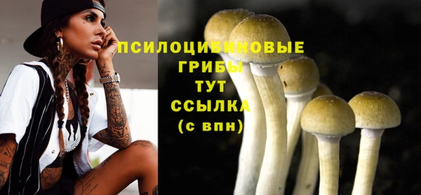 спайс Пересвет