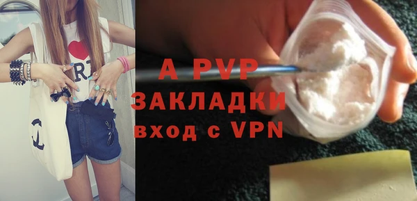 спайс Пересвет