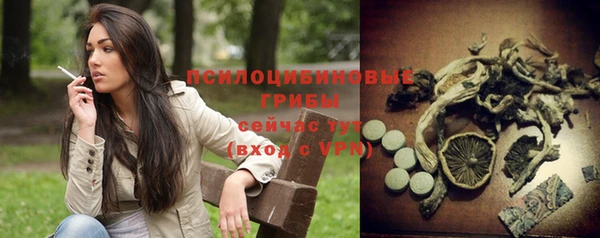 амф Пестово