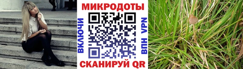 Псилоцибиновые грибы прущие грибы  Комсомольск 